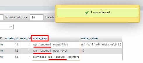 3 prefix20manual20change20sql20query