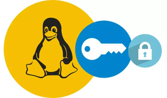 New Linux error allows hacking into encrypted VPN connections