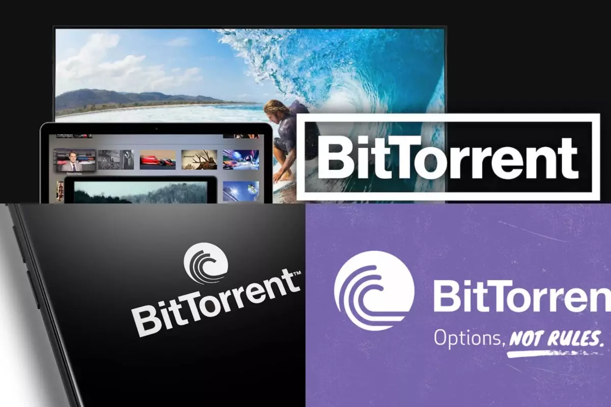 BitTorrent what is it