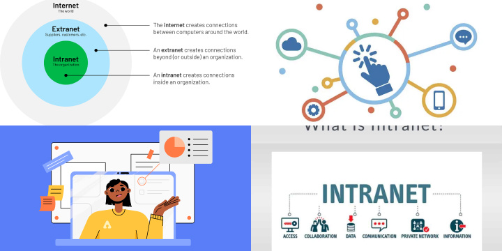 Intranet vs. Extranet: Exploring Internal and External Network Variations