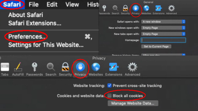 Enabling or Disabling Cookies in Apple Safari