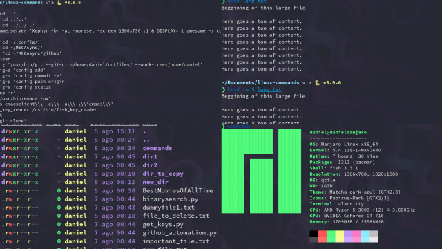 Networking Commands