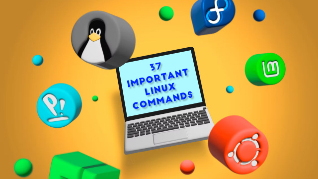 37 Important Linux Commands You Should Know