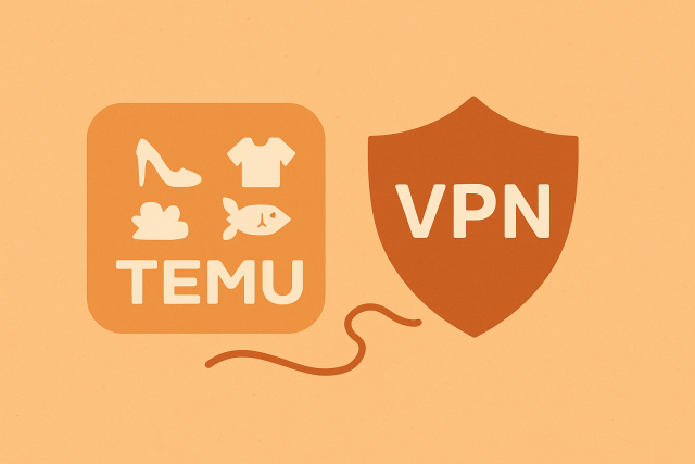 Temu security
