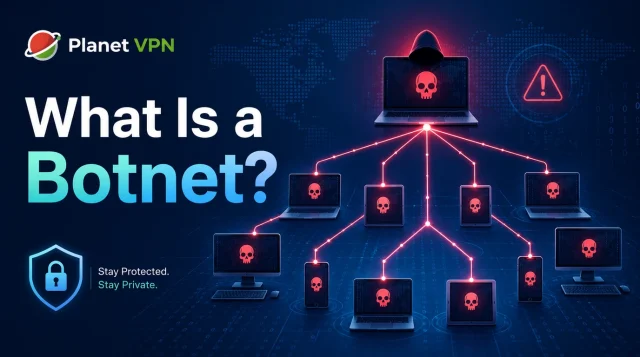 What Is a Botnet? How They Work, Common Attacks, and How to Stay Safe