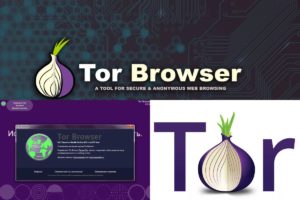 Что нужно для браузера тор vpn через tor browser