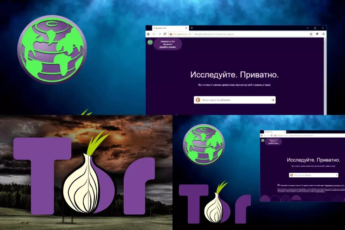 Проект Tor – самый безопасный браузер или нет?