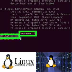 Как определить IP в Linux