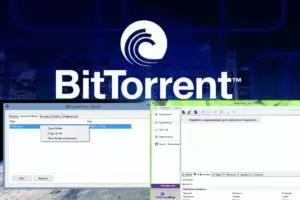 BitTorrent usage