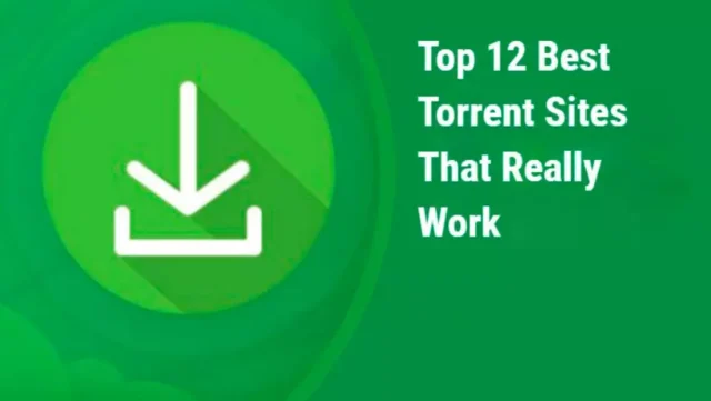 Top 12 Best Torrent Sites That Really Work in 2024