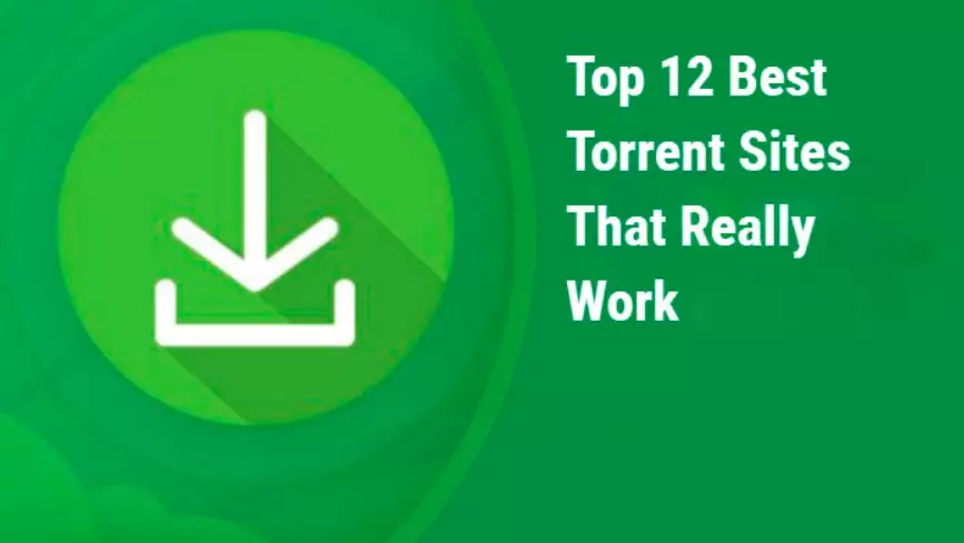 12 torrent