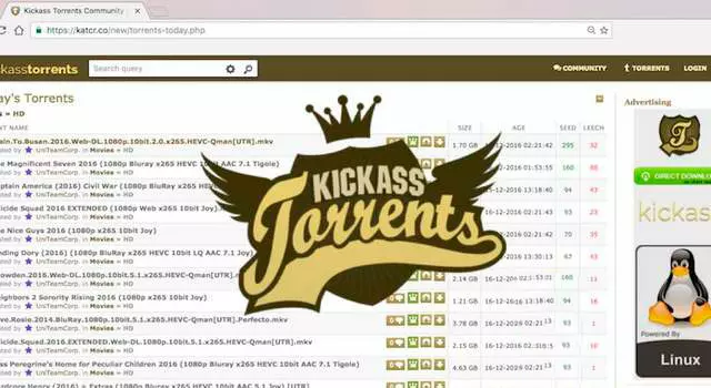 Need a Pirate Bay Proxy? DuckDuckGo Best Option, Says Google * TorrentFreak