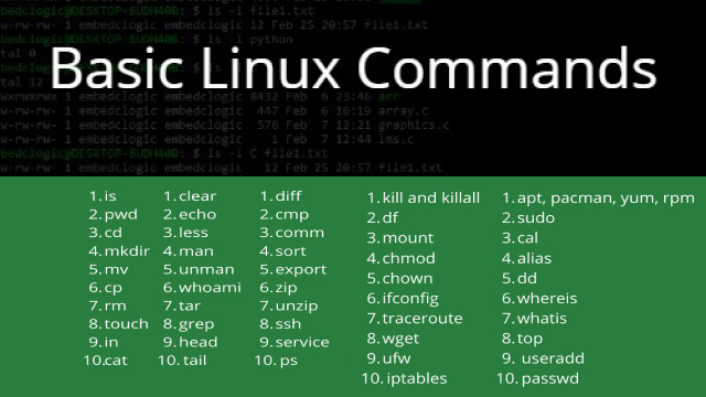 Basic Linux Commands to Get You Started