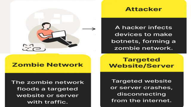 Common Targets of DDoS Attacks