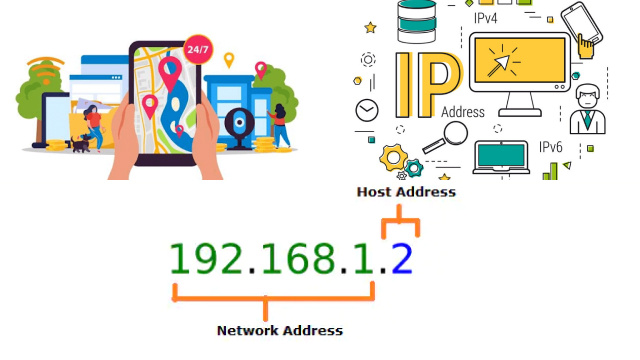 What Are IP Addresses and Why Are They Important?